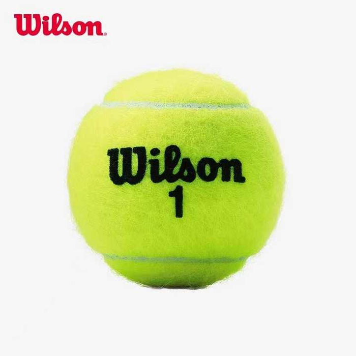 Wilson Championship Extra Duty Tennis Ball 24 Can Case 3-Ball Per Can